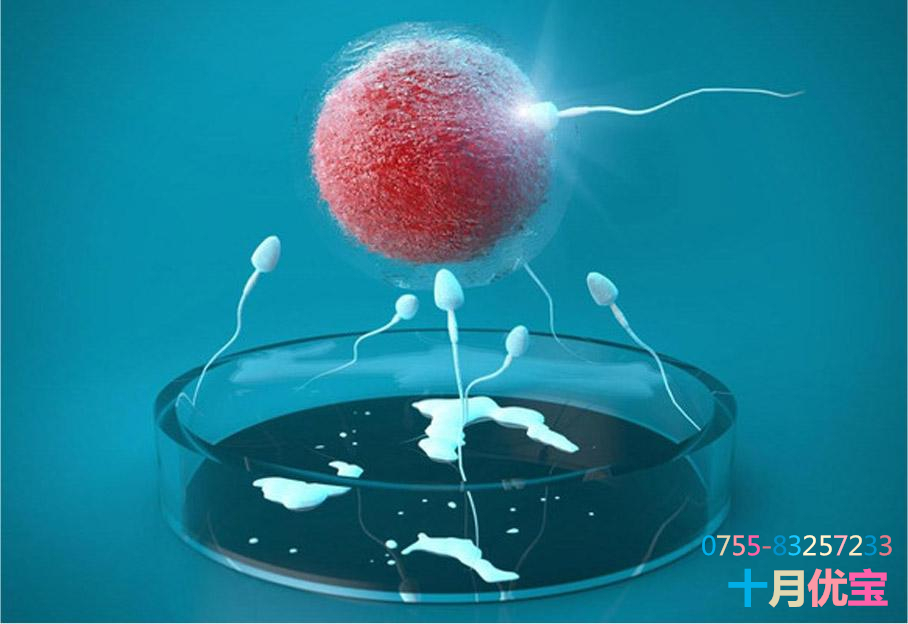 十月优宝:俄罗斯试管婴儿中,什么样的胚胎才是优质胚胎?