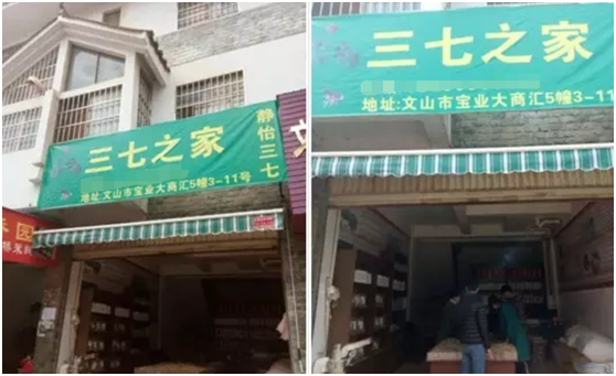 文山良心三七,专注三七种植50年