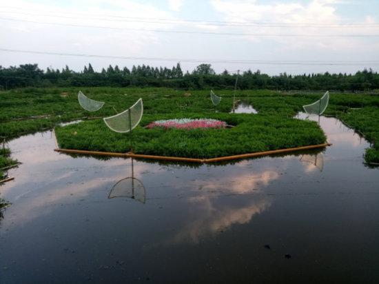 云图片