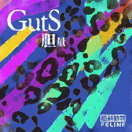猫科动物乐队新专辑《胆量/GutS》正式发售