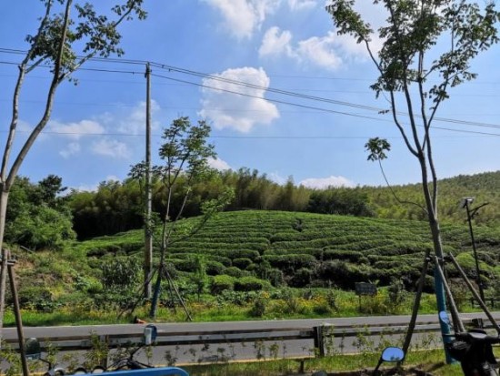 访最美乡村，寻振兴良策——美丽乡村背景下乡村振兴规划调查研究