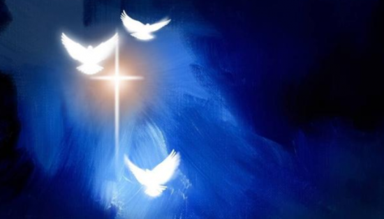 灵鸽是什么？灵鸽app邀请码