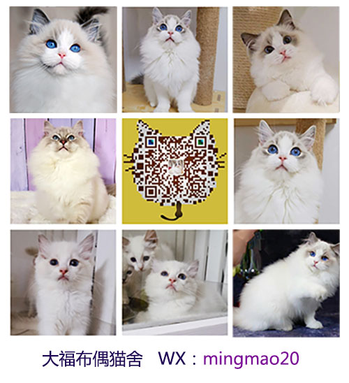 云图片