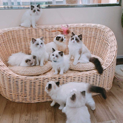 云图片