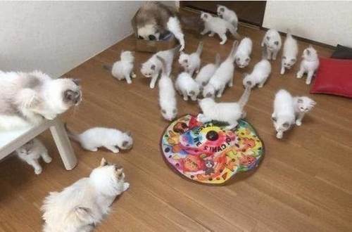 云图片