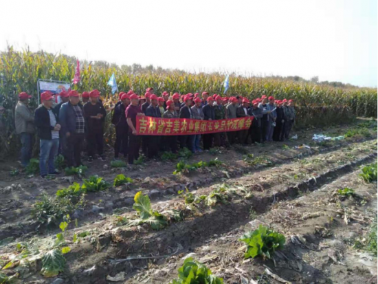 吉林省吉美农业集团——拥有无限未来的农业新星
