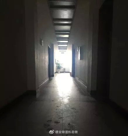 德业除湿机携海清登陆东方卫视，迎战回南天，驱逐梅雨季