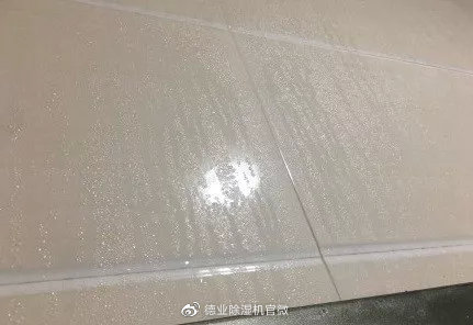 德业除湿机携海清登陆东方卫视，迎战回南天，驱逐梅雨季