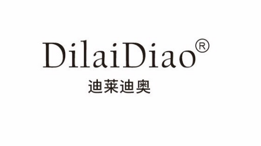 迪莱迪奥--来自中国的品牌