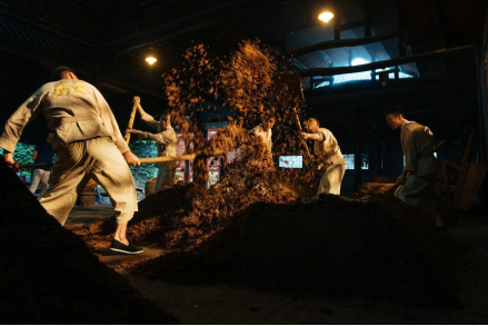 剑南春的高端产品到底怎么样 ？