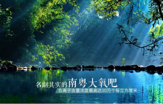 2020不合格大米排名_至诚排行发布2020年消费者满意大米十大品牌