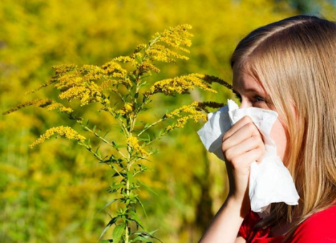 过敏性鼻炎来袭，益生菌助您防守！