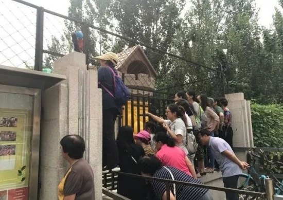 w88优德中文版衡阳碧桂园幼儿园:“我刚上幼儿园,爸爸妈妈别太担心!”