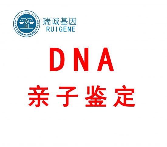 汕头亲子鉴定中心地址在什么地方 新生活网