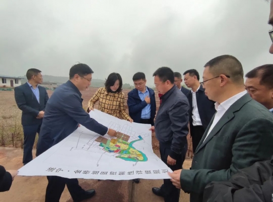 投资8亿！龙蟠科技强力推进锂电新材料产业布局发展