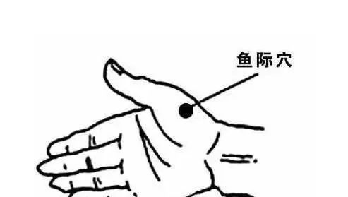 ��Ӥʱ���׶�԰��һ���������βٰɣ�