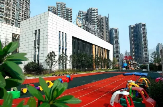 ��Ӥ���������׶�԰�����������е����졪����ʵ��¼