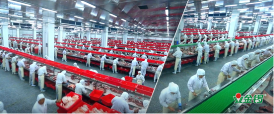 金锣肉业：消费升级下的肉制品产业发展
