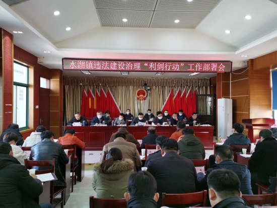 水湖镇召开违法建设治理专项工作会议