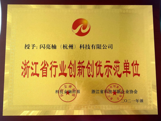 闪亮柚（杭州）科技有限公司荣获浙江省行业创新创优示范单位