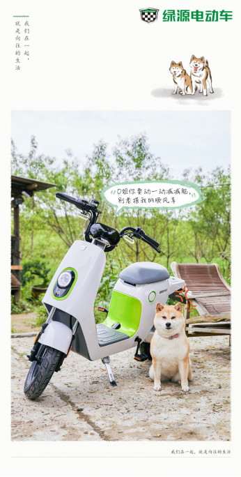 ͼƬ
