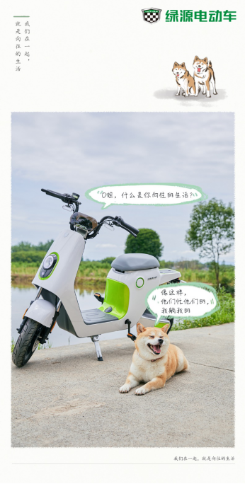ͼƬ